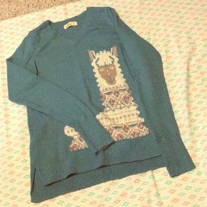 Hollister Sweater